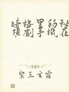 暗格里的秘密电视剧手机在线观看