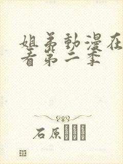 姐弟动漫在线观看第二季