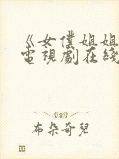 《女仆姐姐2》电视剧在线观看