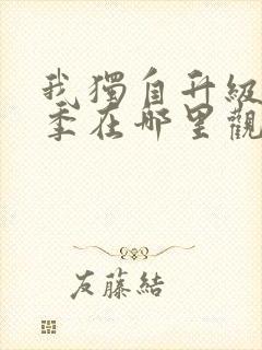 我独自升级第二季在哪里观看