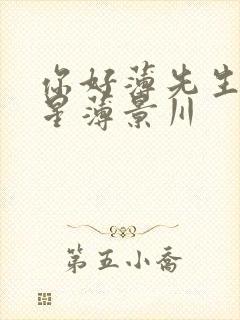 你好薄先生沈繁星薄景川