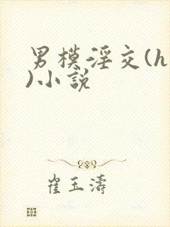 男模淫交(h高)小说封面