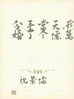 分手当天,我闪婚了个亿万富翁正版