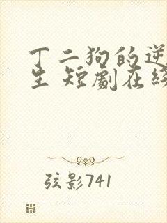 丁二狗的逆袭人生 短剧在线观看