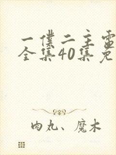 一仆二主电视剧全集40集免费观看封面