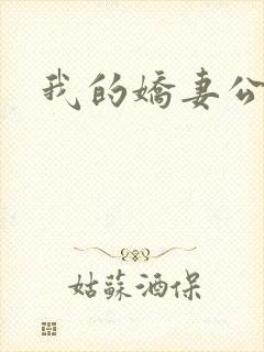 我的娇妻公务员