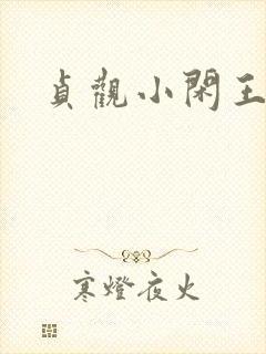 贞观小闲王小说
