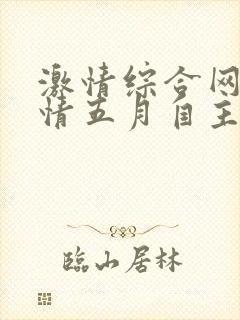 激情综合网,激情五月自主