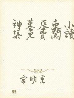 神墓辰东小说全集免费阅读