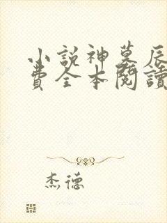 小说神墓辰东免费全本阅读封面