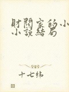 财阀家的小儿子小说结局