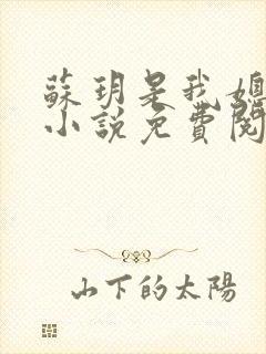 苏玥是我媳妇的小说免费阅读全文