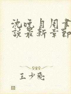 沈晚月周聿白小说最新章节更新