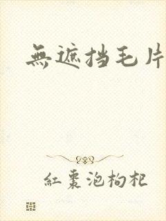 无遮挡毛片高清