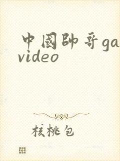 中国帅哥gayvideo