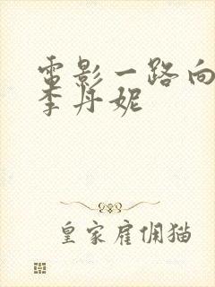 电影一路向北王李丹妮