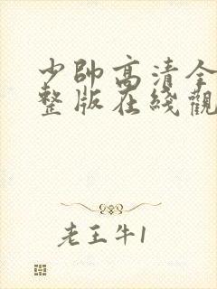 少帅高清全集完整版在线观看