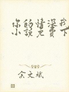 你的情深我不配小说免费下载封面