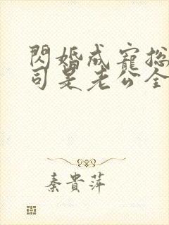 闪婚成宠总裁上司是老公全集封面