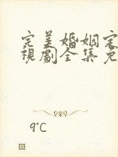 完美婚姻定式电视剧全集免费观看