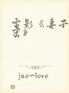 电影《妻子的秘密》