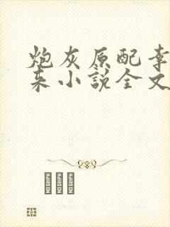 炮灰原配幸福起来小说全文阅读