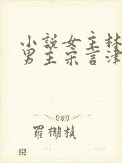 小说女主林清妍男主宋言津免费阅读封面