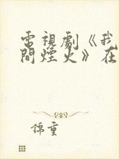 电视剧《我的人间烟火》在哪里看