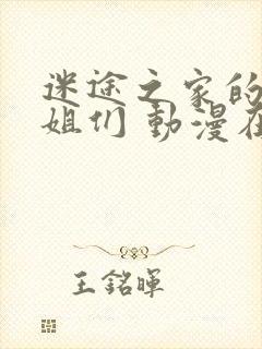 迷途之家的大姐姐们 动漫在线看封面