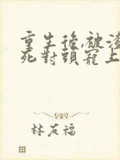 重生后,被渣男死对头宠上天全集封面