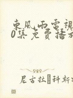 东风雨电视剧40集免费播放在线观看