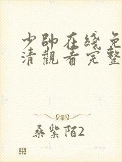 少帅在线免费高清观看完整版