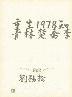 重生1978知青林楚乔李向南结局