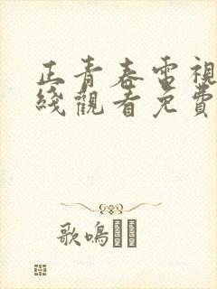 正青春电视剧在线观看免费