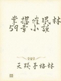 掌握催眠林宵第59章小说