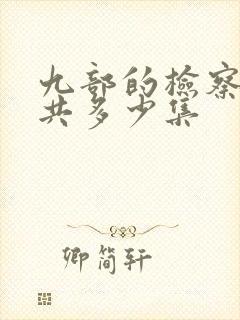 九部的检察官一共多少集封面