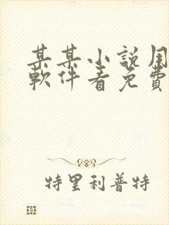 某某小说用什么软件看免费