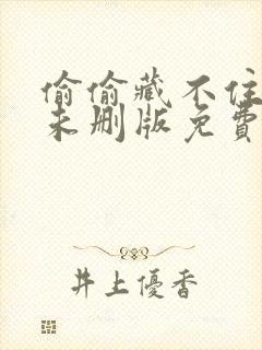 偷偷藏不住小说未删版免费阅读