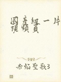 国产级一片内射视频页封面