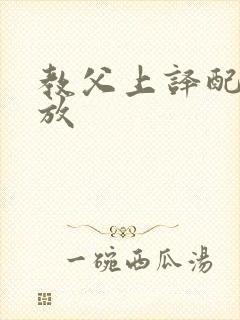 教父上译配音播放