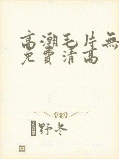 高潮毛片无遮挡免费清高