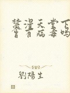 禁漫天堂下载后会有病毒吗