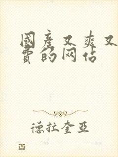 国产又爽又黄免费的网站