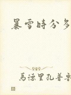 暴雪时分多少集封面