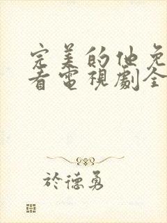 完美的他免费观看电视剧全集