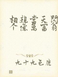 相亲当天闪婚了个亿万富翁