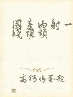 国产内射一级在线视频