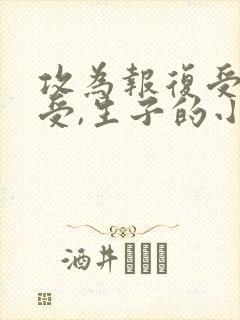 攻为报复受娶了受,生子的小说封面