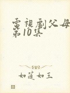 电视剧父母爱情第10集