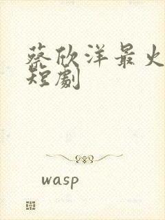 蔡欣洋最火十部短剧